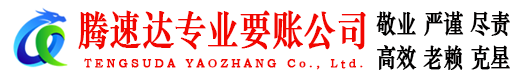 月湖腾速达清债公司